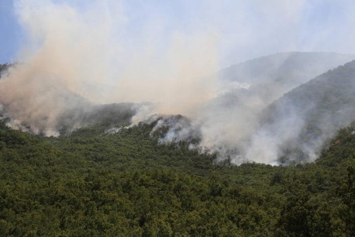 dersimyangın2-696x464